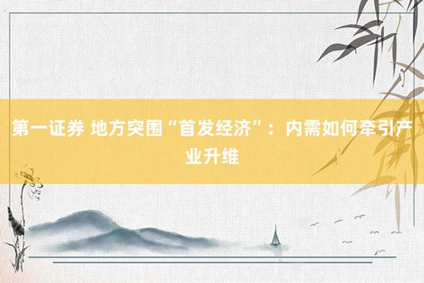 第一证券 地方突围“首发经济”：内需如何牵引产业升维