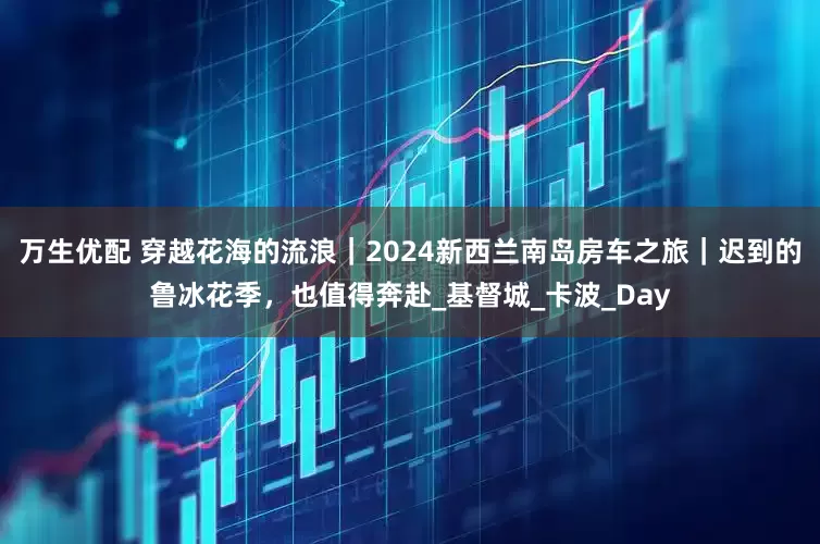 万生优配 穿越花海的流浪｜2024新西兰南岛房车之旅｜迟到的鲁冰花季，也值得奔赴_基督城_卡波_Day