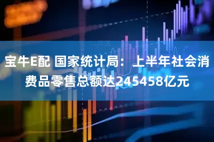 宝牛E配 国家统计局：上半年社会消费品零售总额达245458亿元