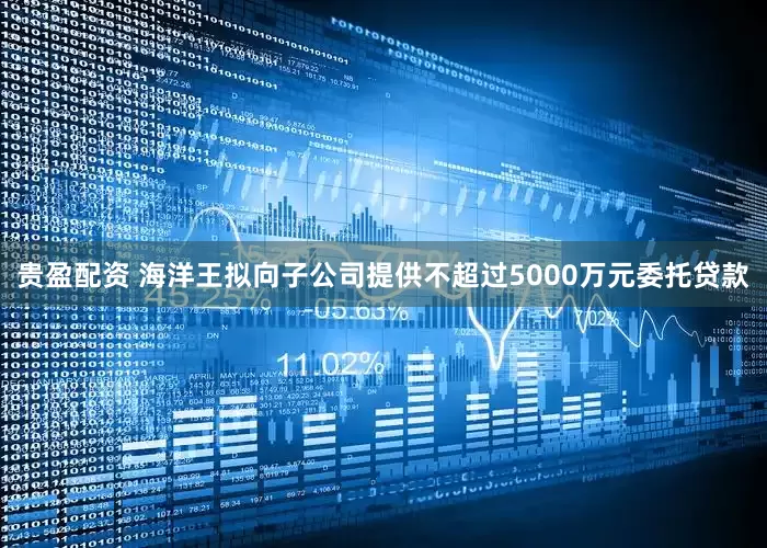 贵盈配资 海洋王拟向子公司提供不超过5000万元委托贷款
