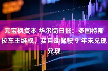 元宝枫资本 华尔街日报：多国特斯拉车主维权，买自动驾驶 9 年未兑现